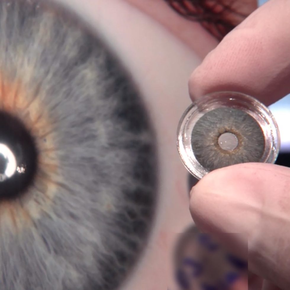 Iris Artificiel Customflex - Human Optics